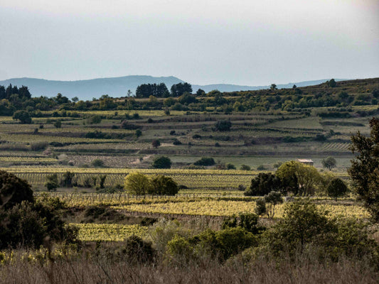 Paysage Héraultais merci au boss Jossua Theophile