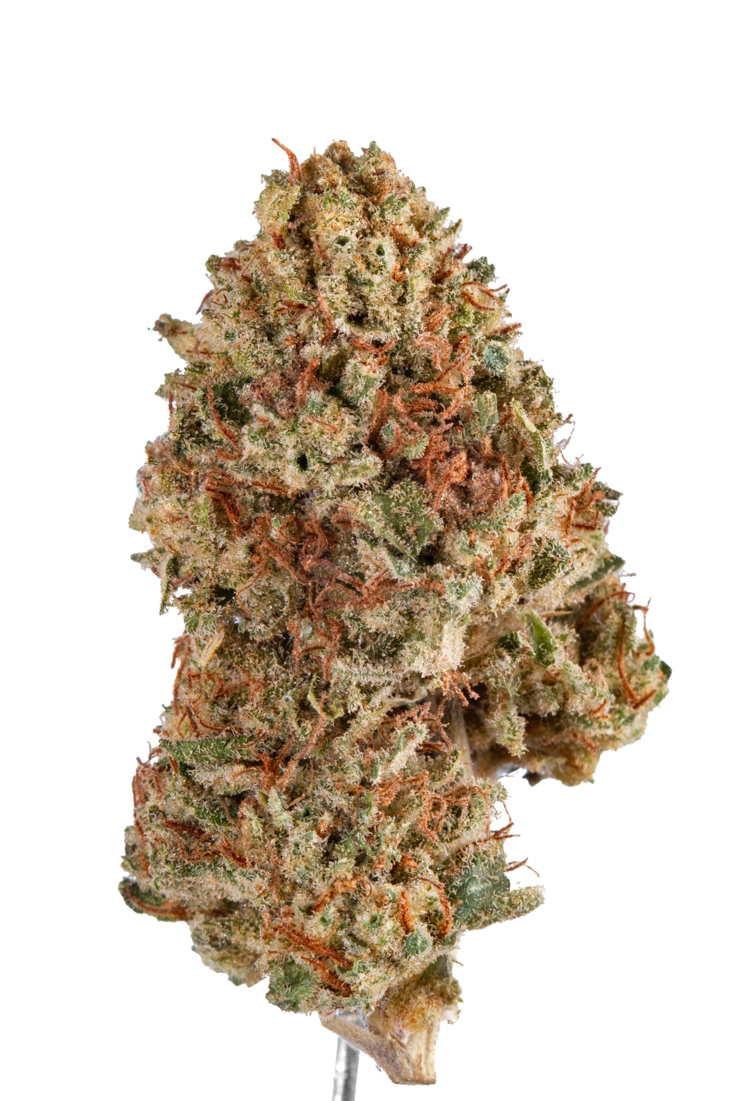 Kush Mango