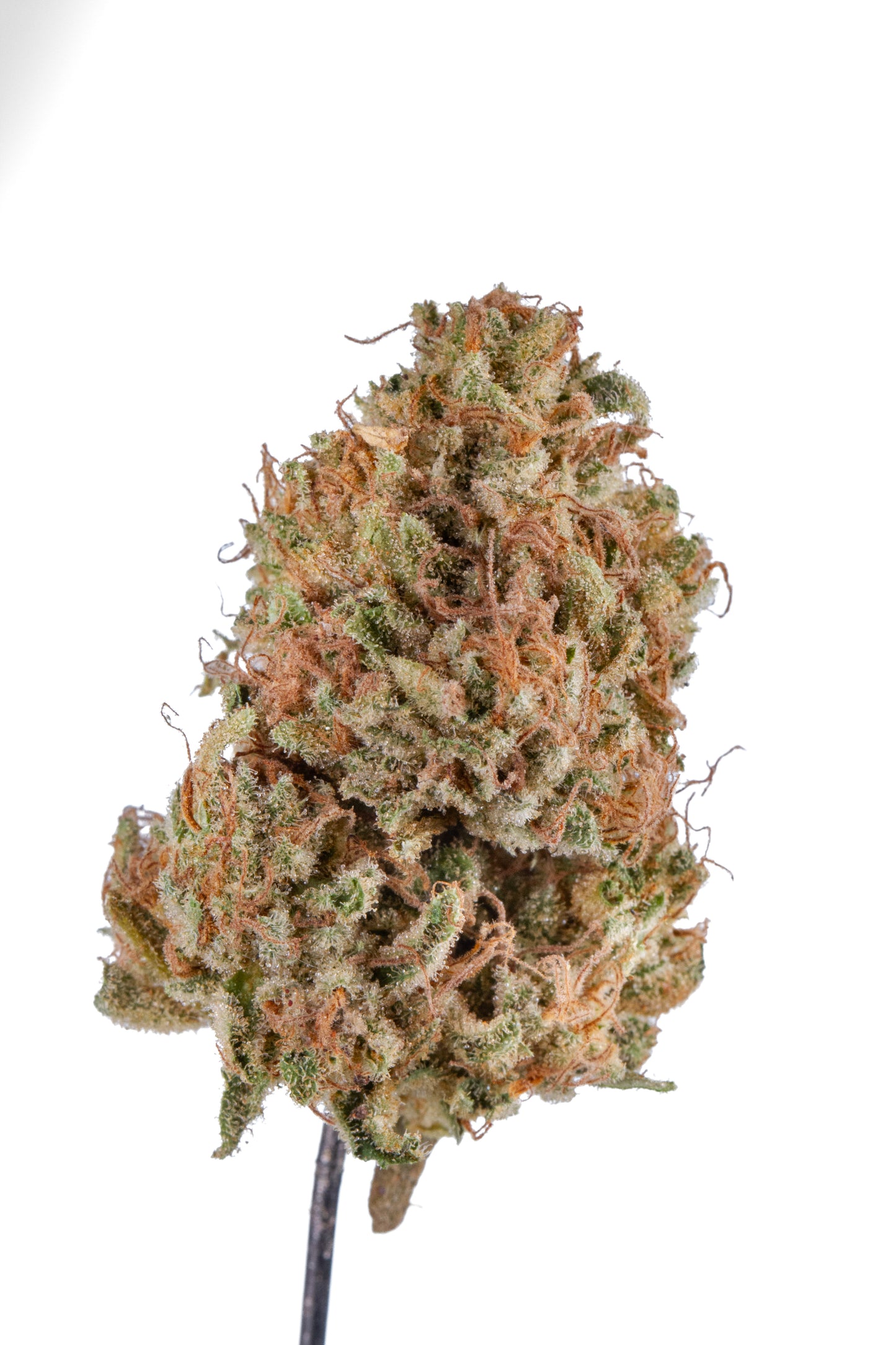 Kush Mango