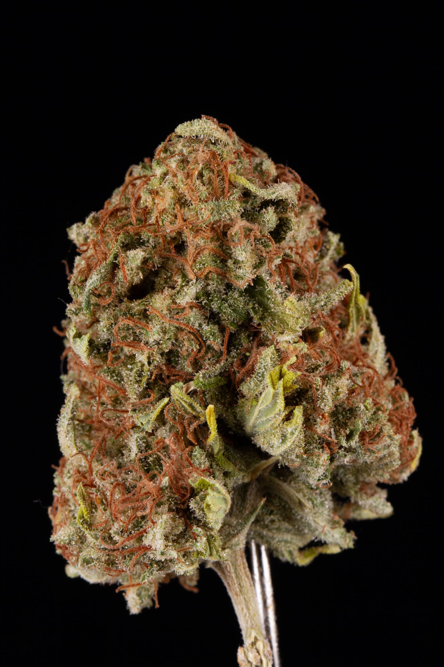 Kush Cake
