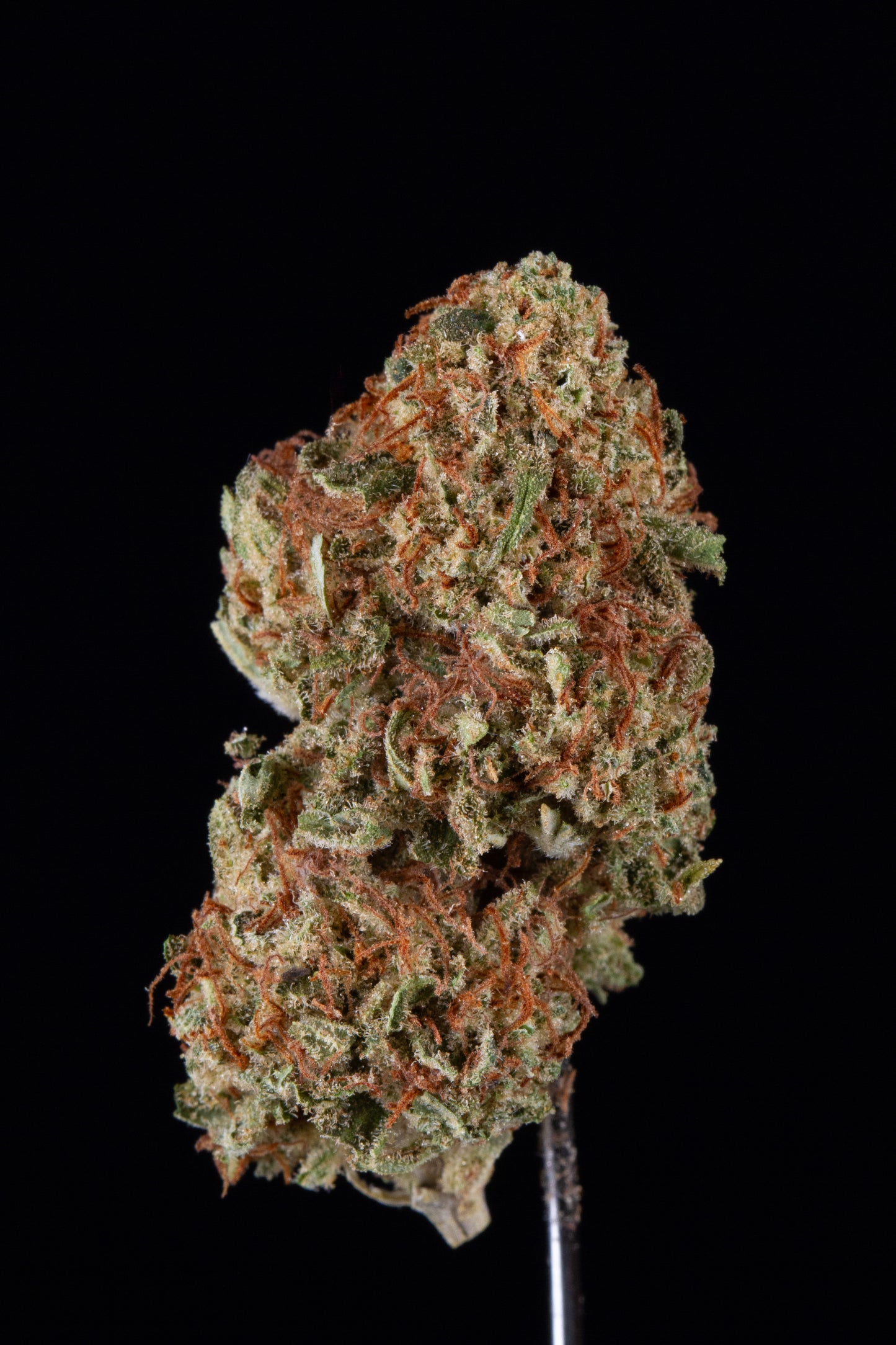 Sour Meringue