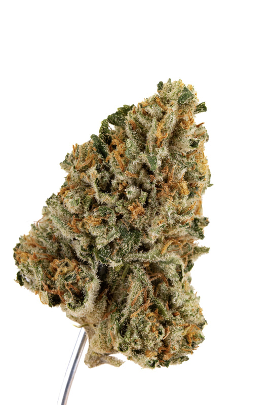 🥇Afghan Berry🥇