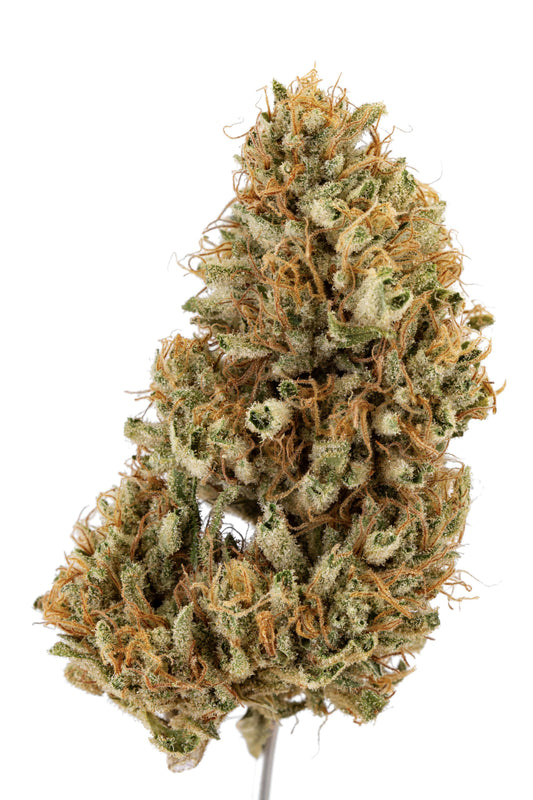 Kush Mango #5