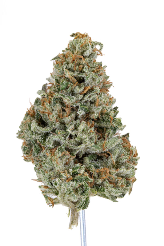 Hubba Bubba