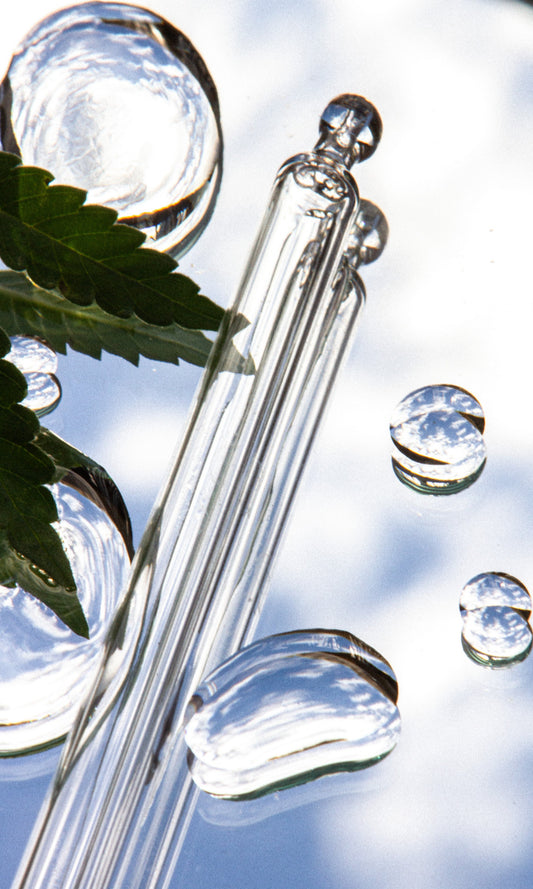 Huile CBD 20% 10 ml PURE