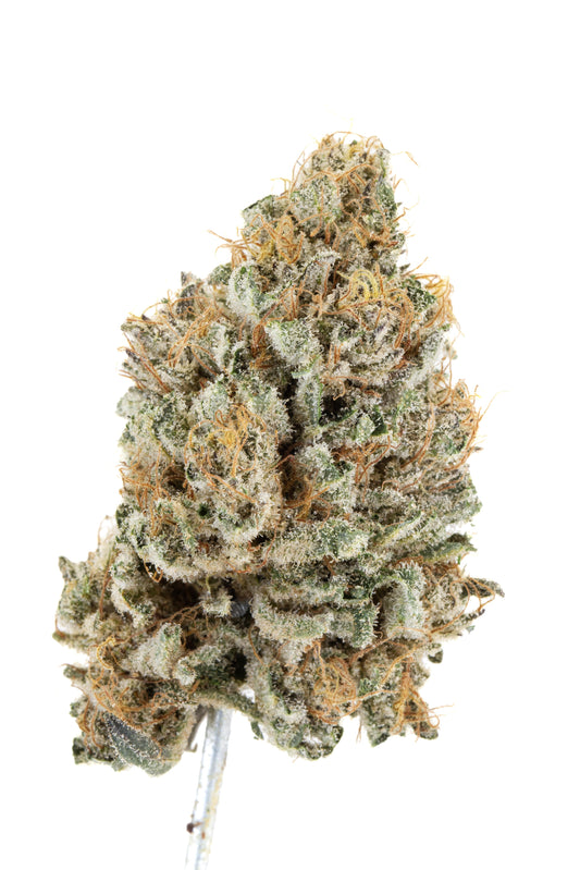 G2 Kush / Gas & Garlic Kush