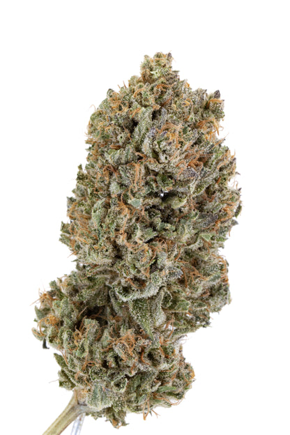 G2 Kush / Gas & Garlic Kush