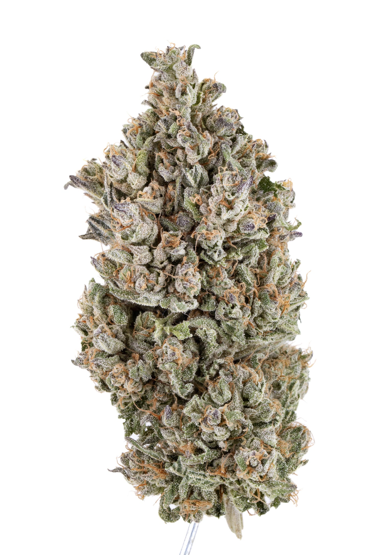 Original Zombie Kush CBG