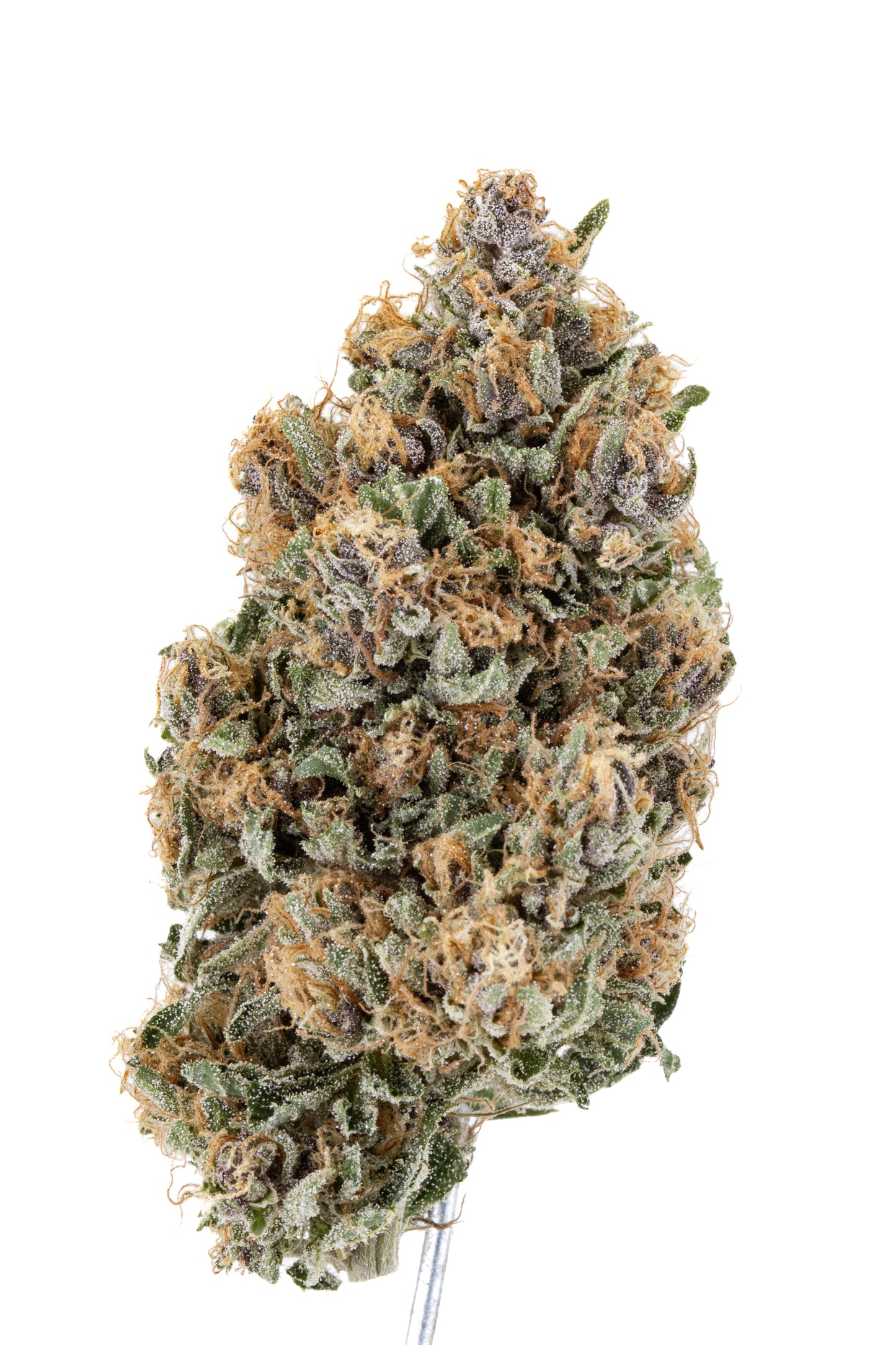 Original Zombie Kush CBG