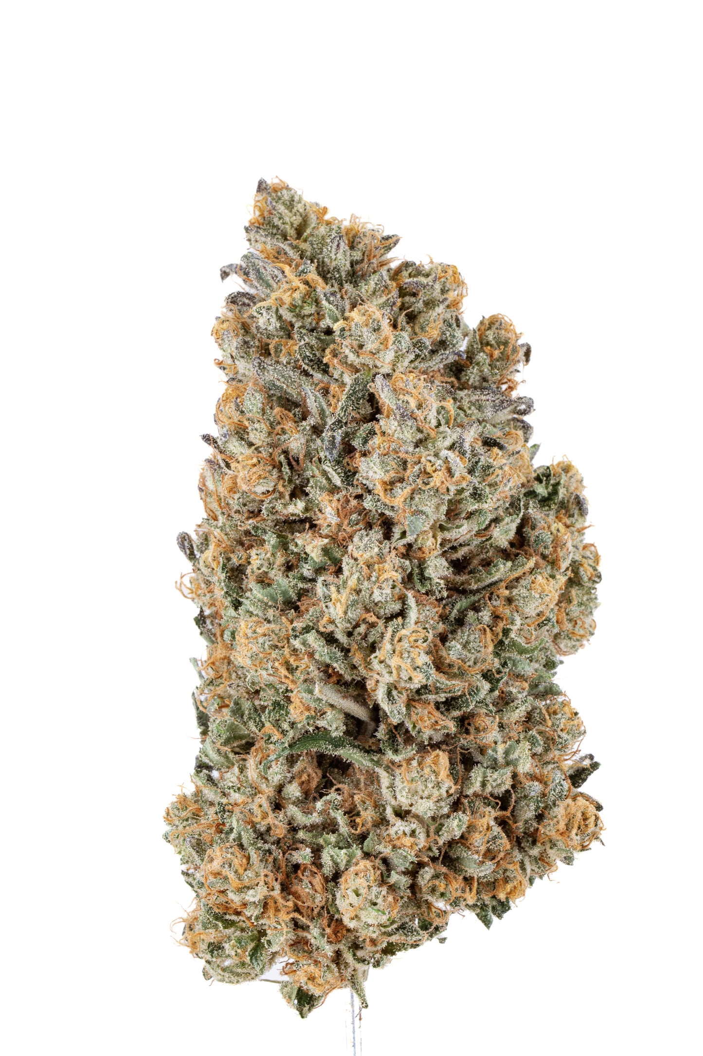 Original Zombie Kush CBD