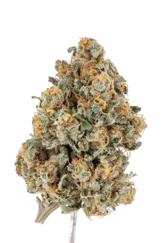 Original Zombie Kush CBD